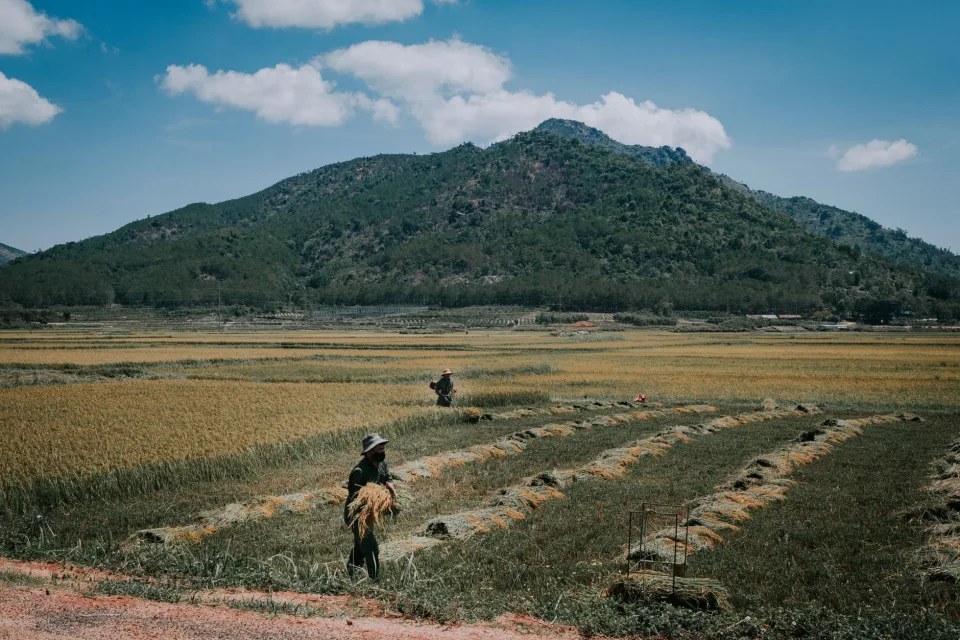 Kho gạo xếp bao